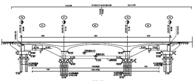 城市主干路道路工程施工组织设计171页（水泥搅拌桩，路桥排水附属设施）-桥梁立面图