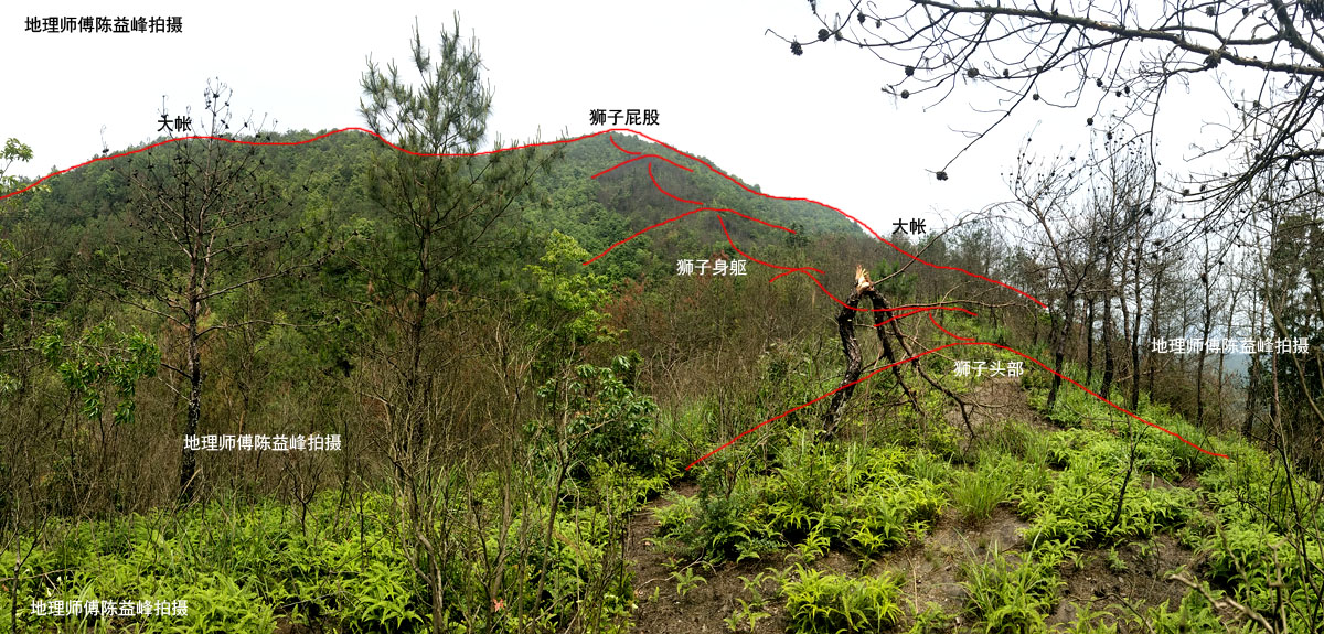 陳益峰:獅子下山,潘家狀元祖墳,發丁二十萬-建築風水學-築龍建築設計