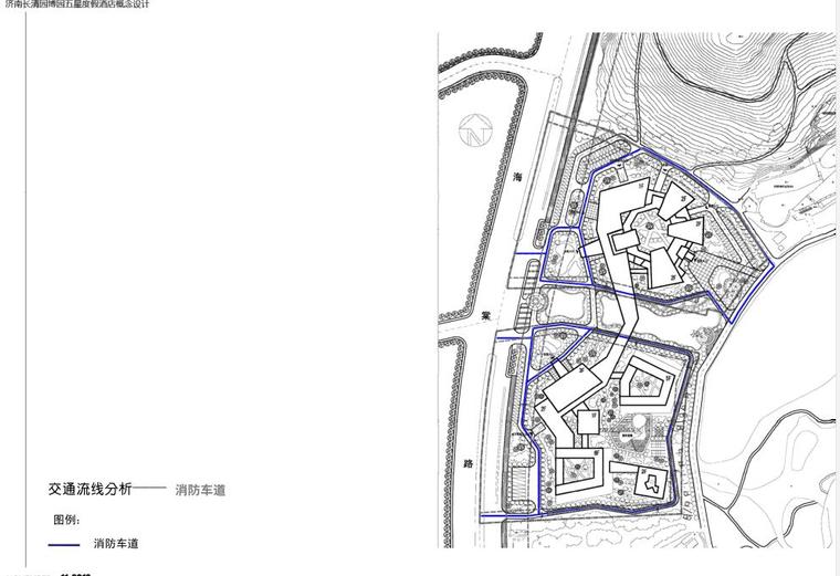 [山东]某园博园度假酒店建筑设计方案文本-交通流线分析
