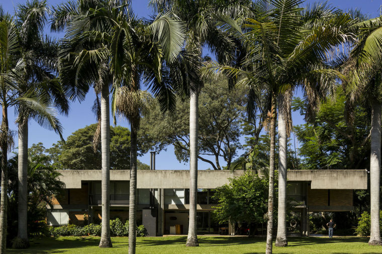 玻璃体建筑SU资料下载-巴拉圭绿色植株覆盖的树宅