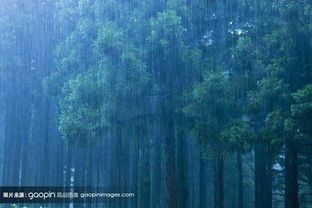 砖砌偏沟式单篦雨水口资料下载-喂，雨水处理的十八般兵器要不要？