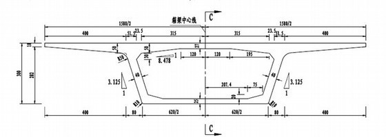 跨江大桥首榀节段箱梁预制施工方案（梁高3m）-首榀节段箱梁截面 