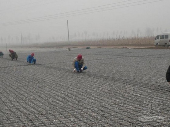 路基粉喷桩检测资料下载-高速公路地基加固深层粉喷桩施工技术