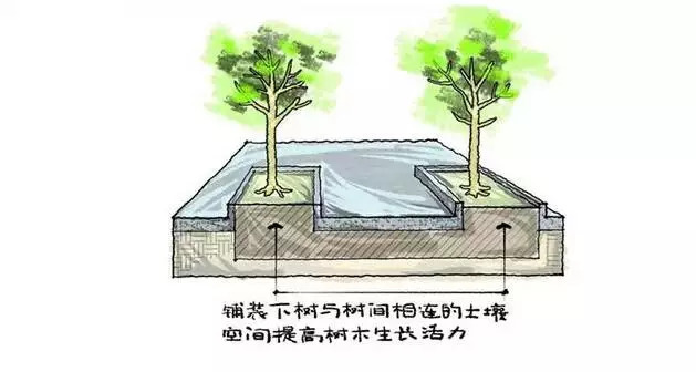 图解园林景观之乔木种植秘诀_9