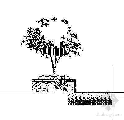 圆形树池效果图手绘图片