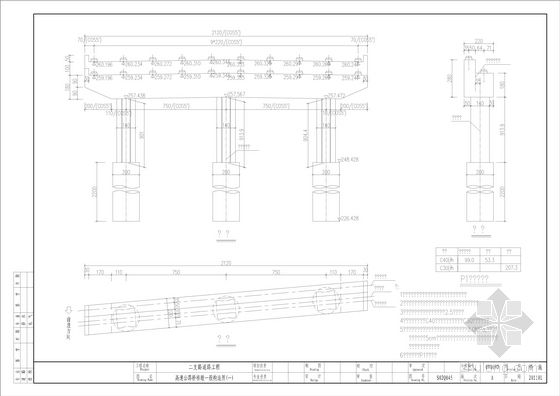 [重庆]20+40+20m跨高速大桥全套CAD施工图（94页）-桥墩一般构造图