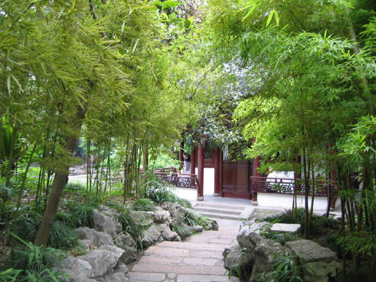 园林佛文化景观设计资料下载-竹子在园林设计中的应用，景观设计师必备