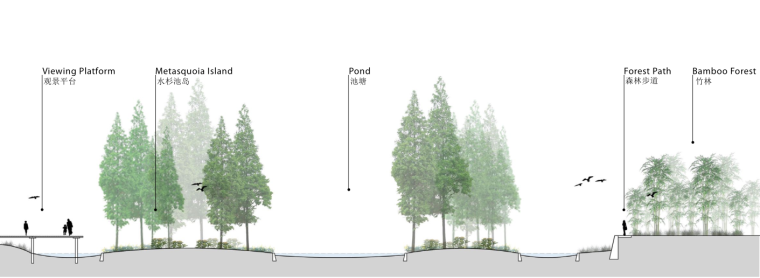 [湖南]长沙露营休闲度假岛景观深化设计-竹林园剖面图