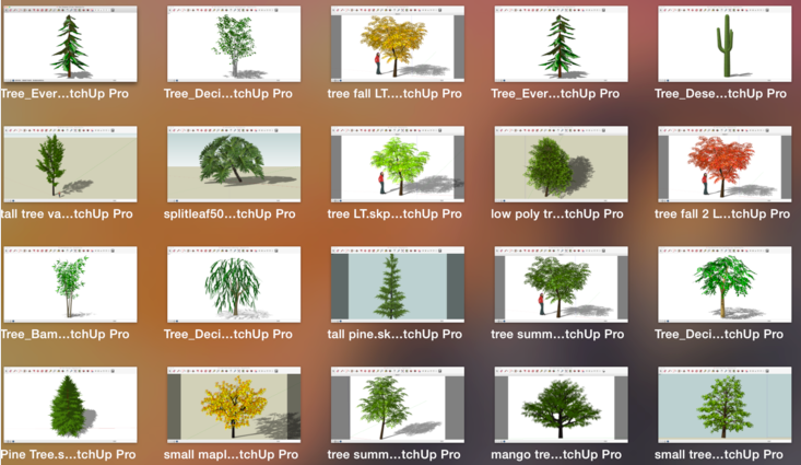 500个常用针叶、阔叶景观植物模型合集-一套景观植物SketchUp模型2