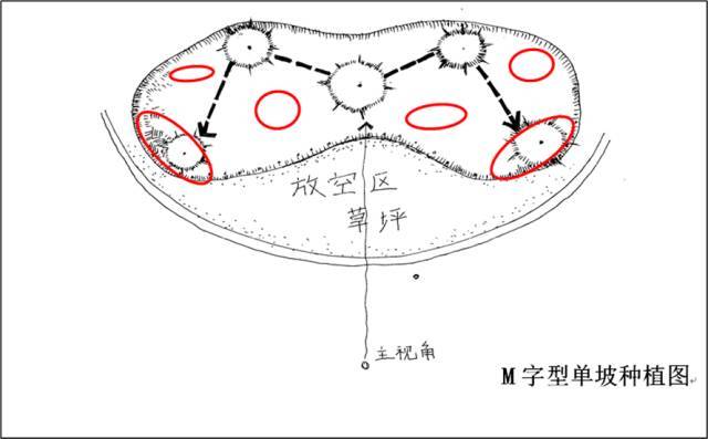 植物配置施工要点_5