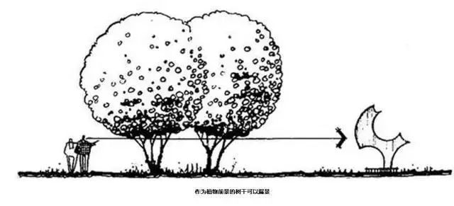 景观植物空间造景｜解析_20