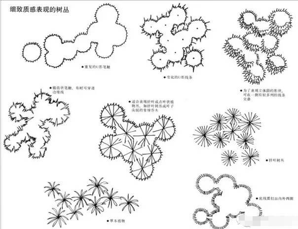 景观快题设计中植物表达技法！_37