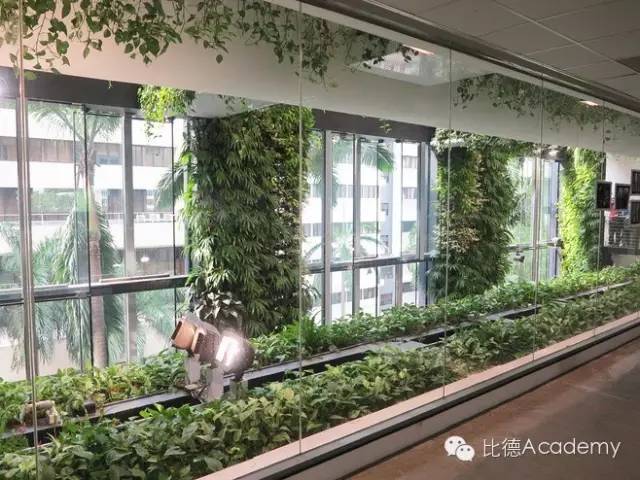 震惊了！新加坡的垂直绿化建筑 ..._46