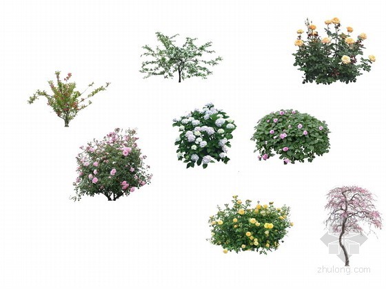 植物素材CAD图库资料下载-植物素材