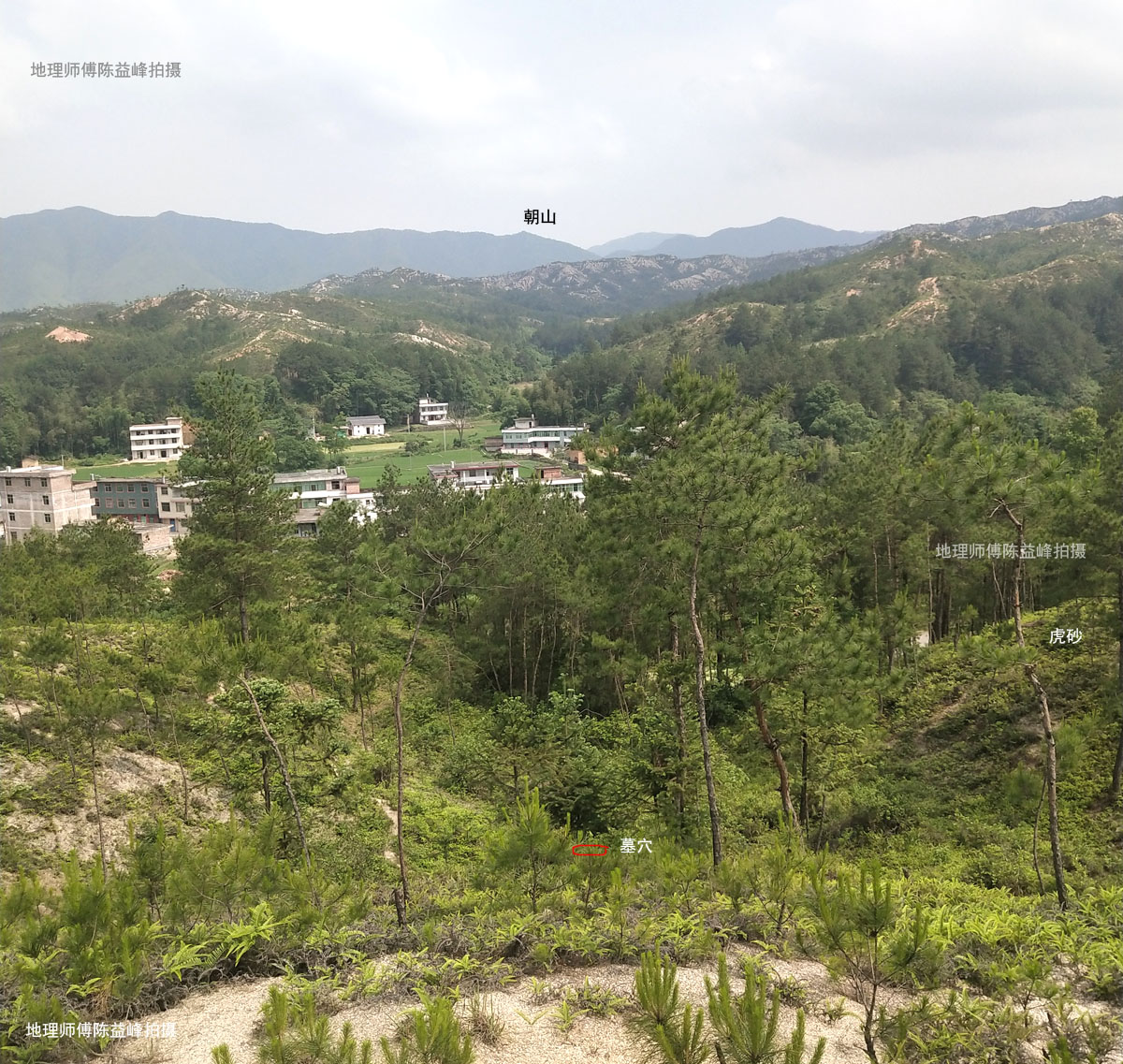 陈益峰:眠犬形,明朝代国师廖文政墓地-建筑风水学-筑龙建筑设计论坛