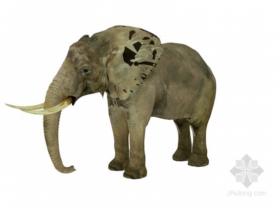 大象雕塑3d模型下载资料下载-大象3D模型下载