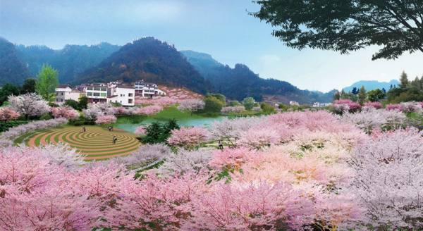 [云南]樱花园特色旅游观光产业园景观规划设计方案-樱花花海景观效果图