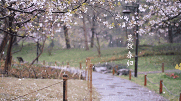 杭州南宋御街庭院资料下载-沐浴春风，跟着诗词畅游杭州