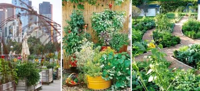 菜园景观庭院资料下载-花园就是菜园，菜园就是花园
