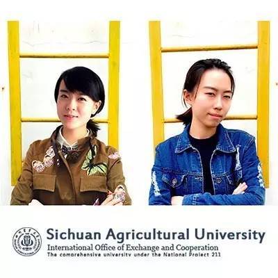 asla湿地公园资料下载-对话国内唯一获2016ASLA 学生奖大牛，