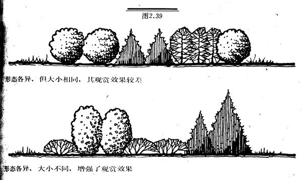 你以为我设计的是植物？我设计的是空间！_39