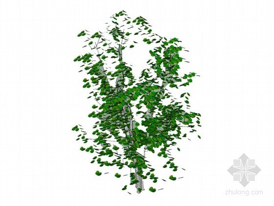sketchup植物模型资料下载-绿叶树植物SketchUp模型
