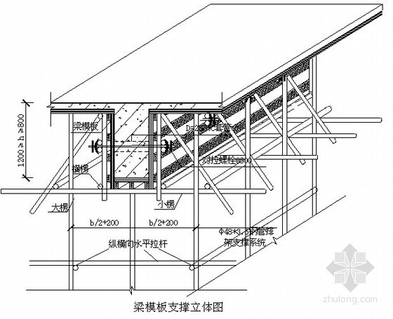 主体结构模板配置资料下载-[江苏]会议中心基础及主体结构模板施工方案（胶合板模板）