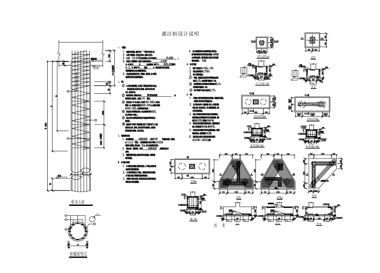 [海南]5栋框架/框剪结构公寓式酒店结构施工图（CAD、41张）-灌注桩设计说明