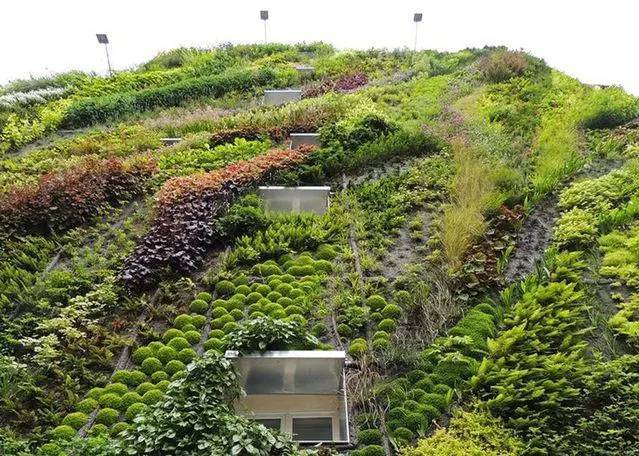 东京华丽垂直花园资料下载-“活着的墙”——垂直花园与墙面绿化案例汇总
