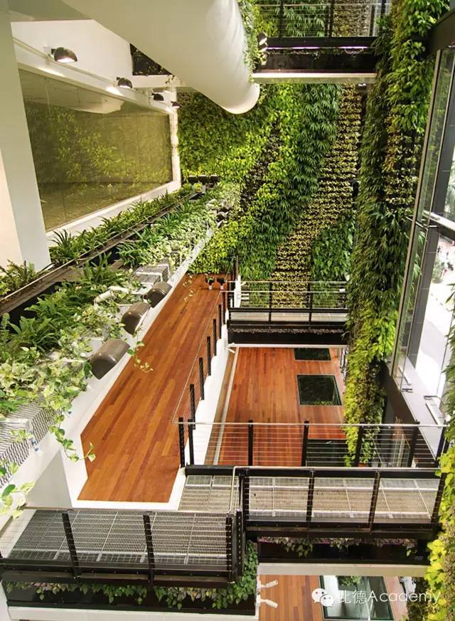 为什么全世界都向新加坡学习垂直绿化_50