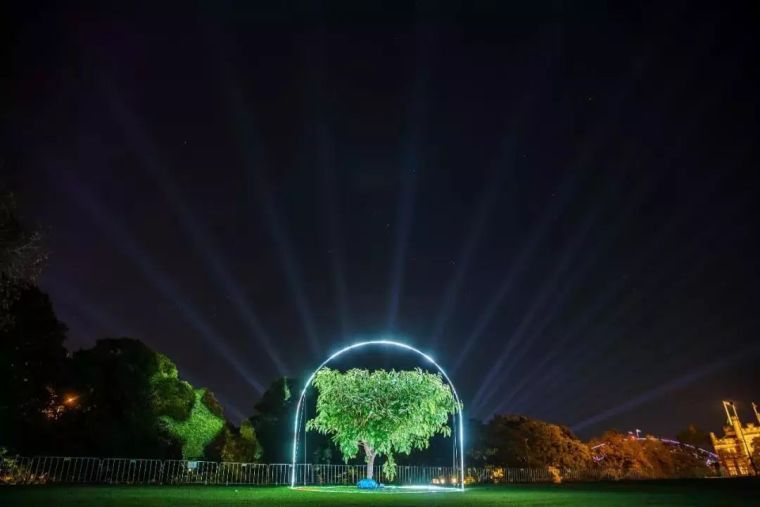 2012年奥运会树环资料下载-一棵树的景观