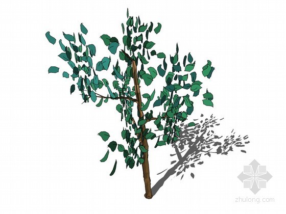 卡通树3dmax模型资料下载-桦木树sketchup模型