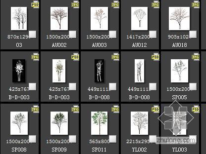 配景树模型资料下载-配景树