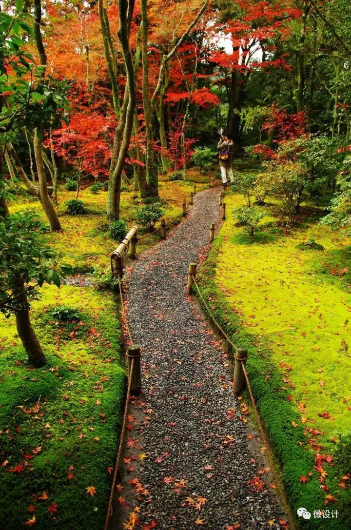 日本15个最美枯山水庭院_117