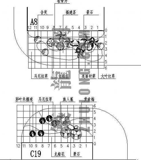 昆明翠湖湿地公园资料下载-翠湖新城绿化施工图（三）