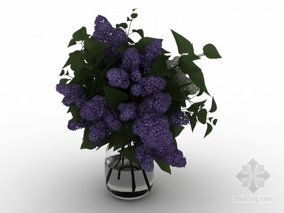 植物材质贴图资料下载-鲜花3d模型下载