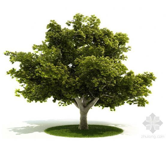 3dsu树木模型下载资料下载-树木004