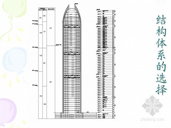 [工程实例PPT]钢管混凝土柱超高层结构设计-结构体系选择 