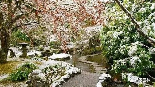 北方园林植物价格视频资料下载-九大诀窍，让你花园冬天也很美