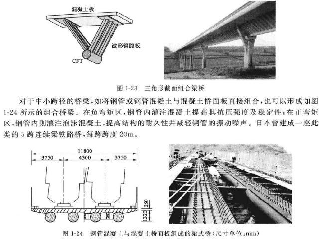 钢混组合结构梁桥设计与施工技术讲义315页（附工程实例）-三角形截面梁桥