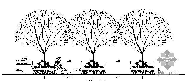 景观树池详细图资料下载-小区树阵广场树池详细做法