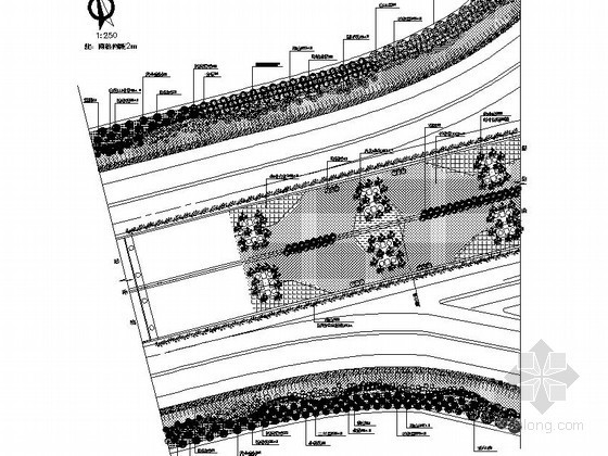 种植施工图绘制规范资料下载-某道路种植施工图设计