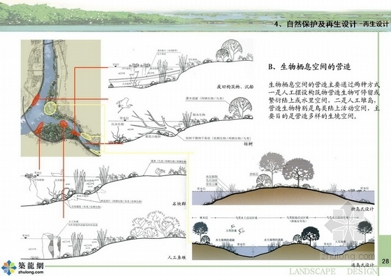 [江西]滨江绿地及河口湿地生物公园规划设计方案-分析图