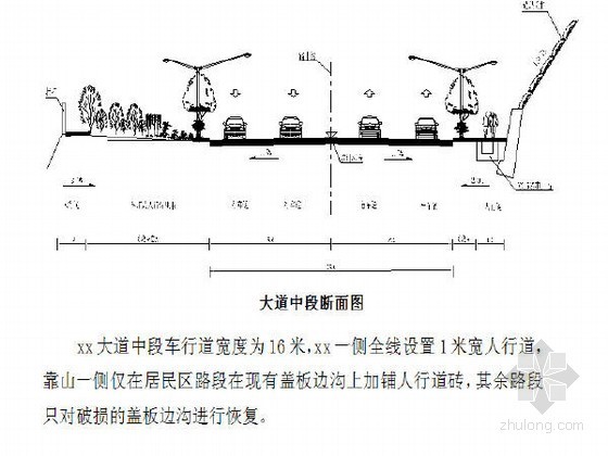 市政道路改造工程投标施工组织设计（白改黑 高危边坡）-大道中段断面图 