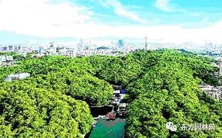 海南红豆资料下载-生态风景林建设中构建技术