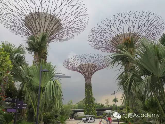 震惊了！新加坡的垂直绿化建筑 ..._25