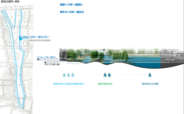 [安徽]滨湖生态海绵城市河道景观设计方案（知名公司设计）-湿地缓冲带和湖区调节