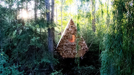 加拿大Hemloft树屋资料下载-脑洞大开！还有人鸟共享树屋的建筑