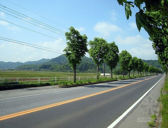 景观道路工程监理规划资料下载-[四川]道路工程监理规划（包含排水工程）