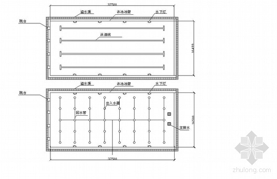 学校游泳池设计全套图纸资料下载-某游泳池设计图纸